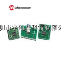 DM183036蓝牙/802.15.1 开发工具 原装优势热卖-DM183036尽在买卖IC网